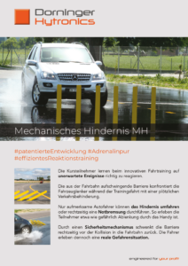 thumbnail of Flyer MH DE